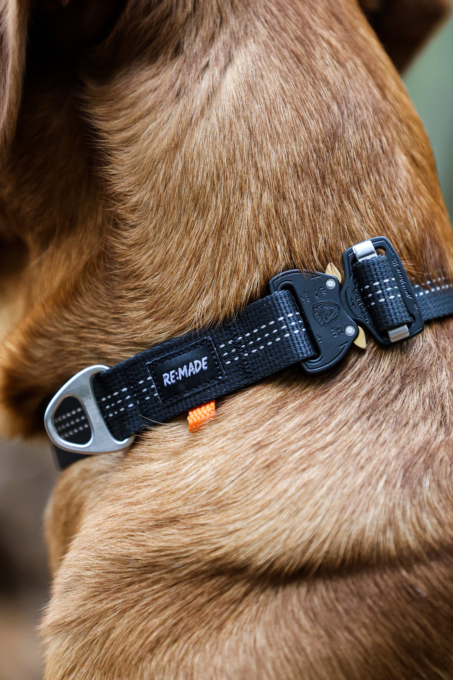 Re:Made Summit Dog Collar, Beal® Climbing Webbing | Green & Black