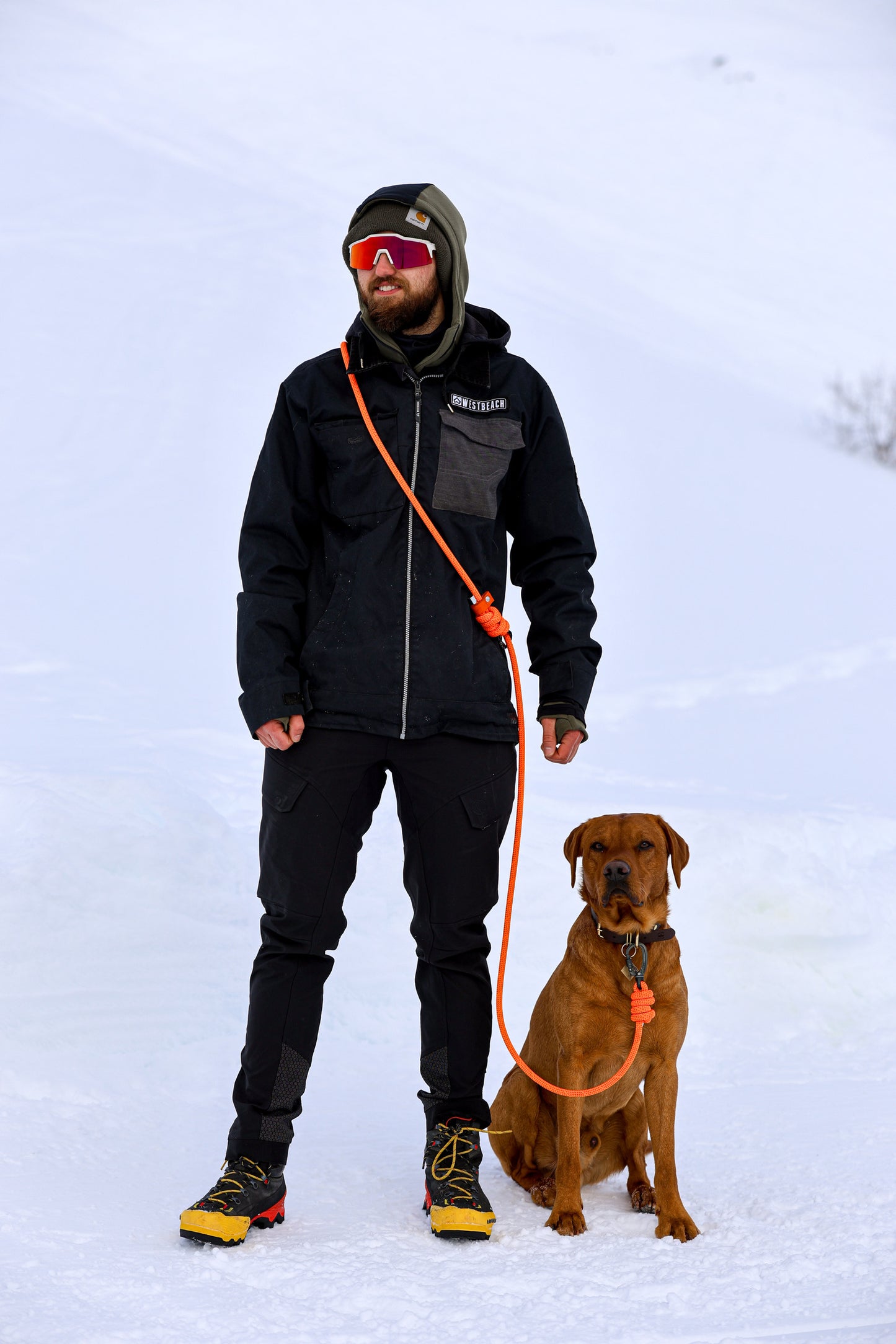 Borealis Purple, Beal® Handsfree Climbing Rope Dog Lead