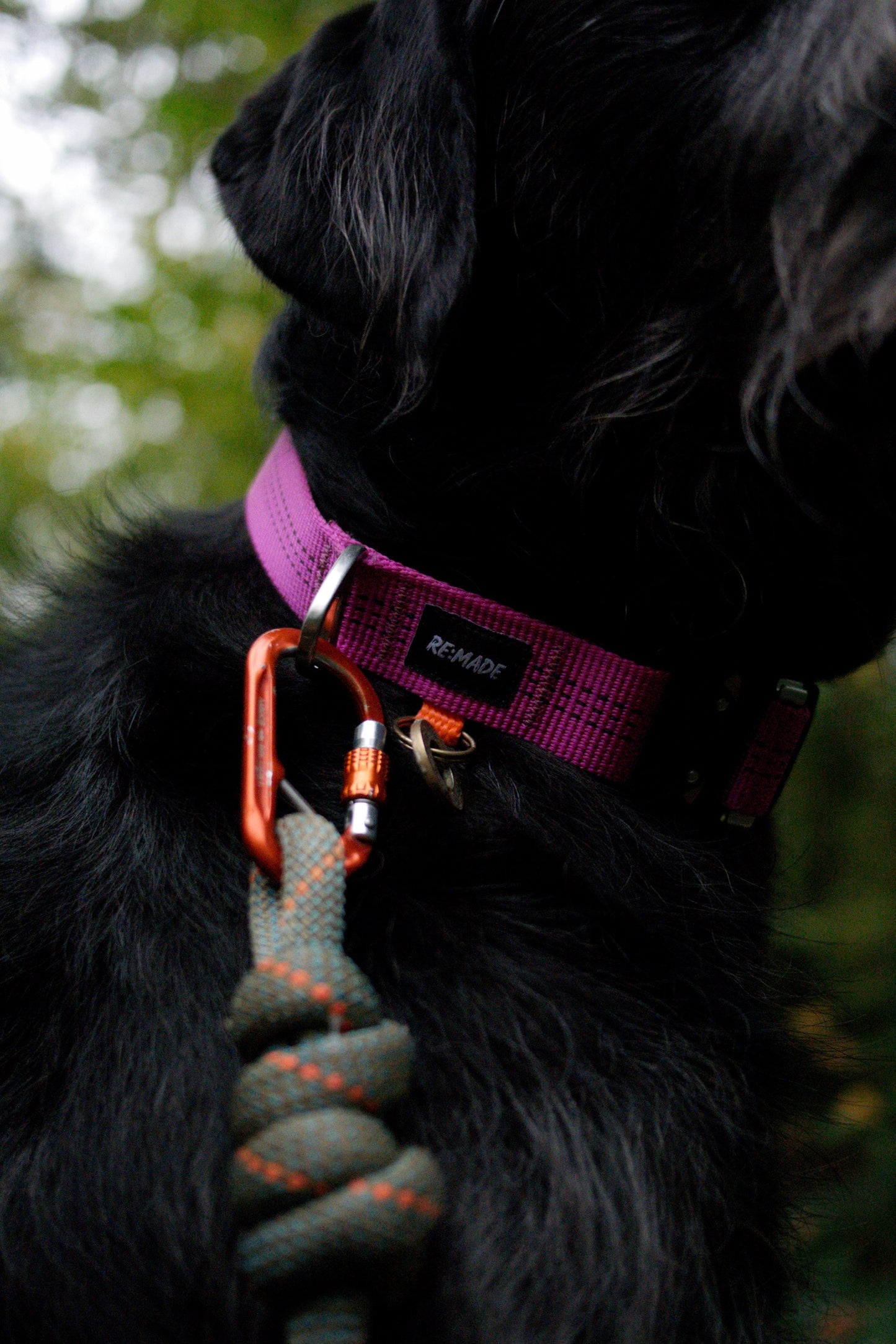 Re:Made Summit Dog Collar, Beal® Climbing Webbing | Pink & Silver