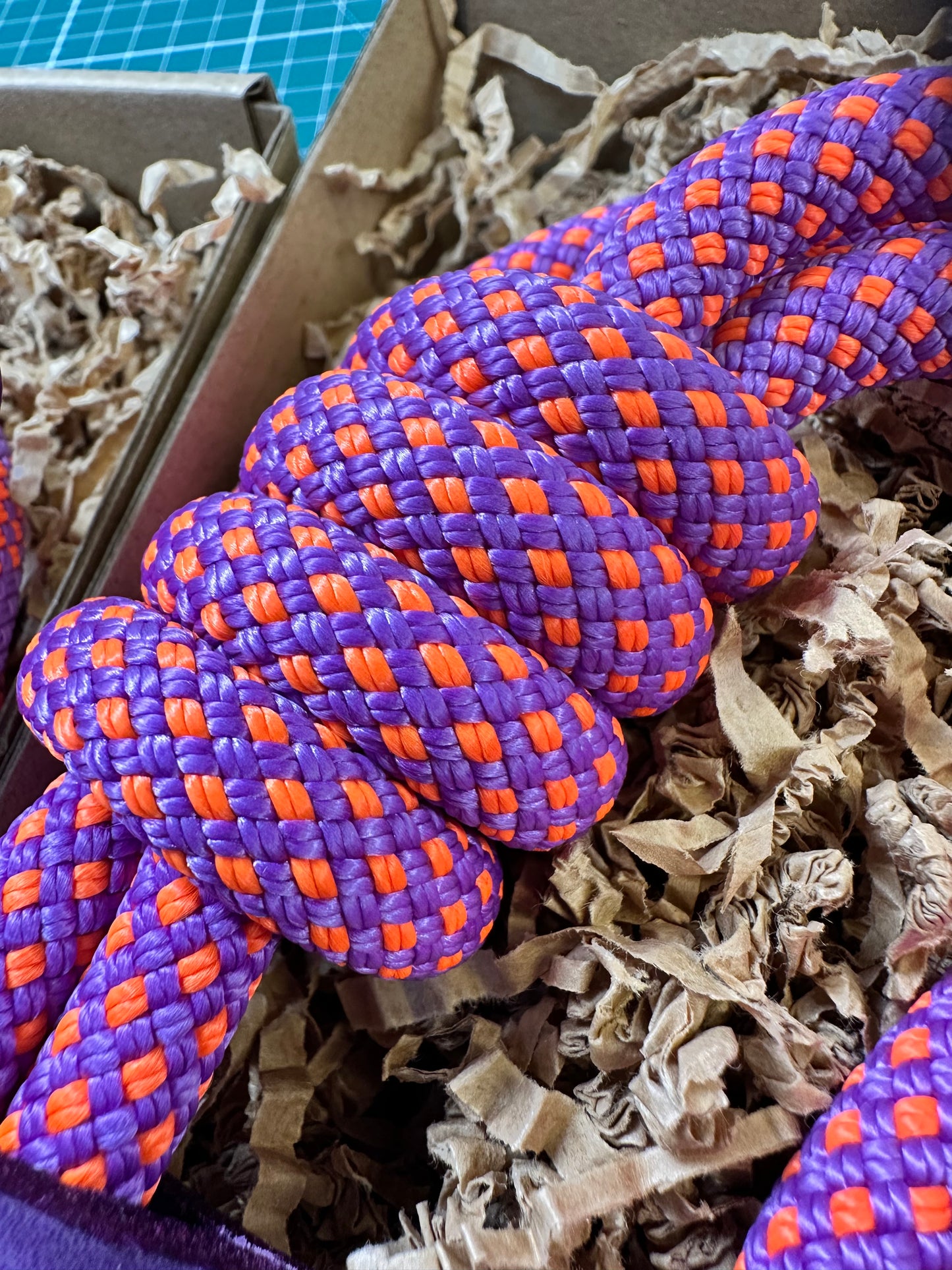Vesper Pink, Mammut® Climbing Rope Dog Lead