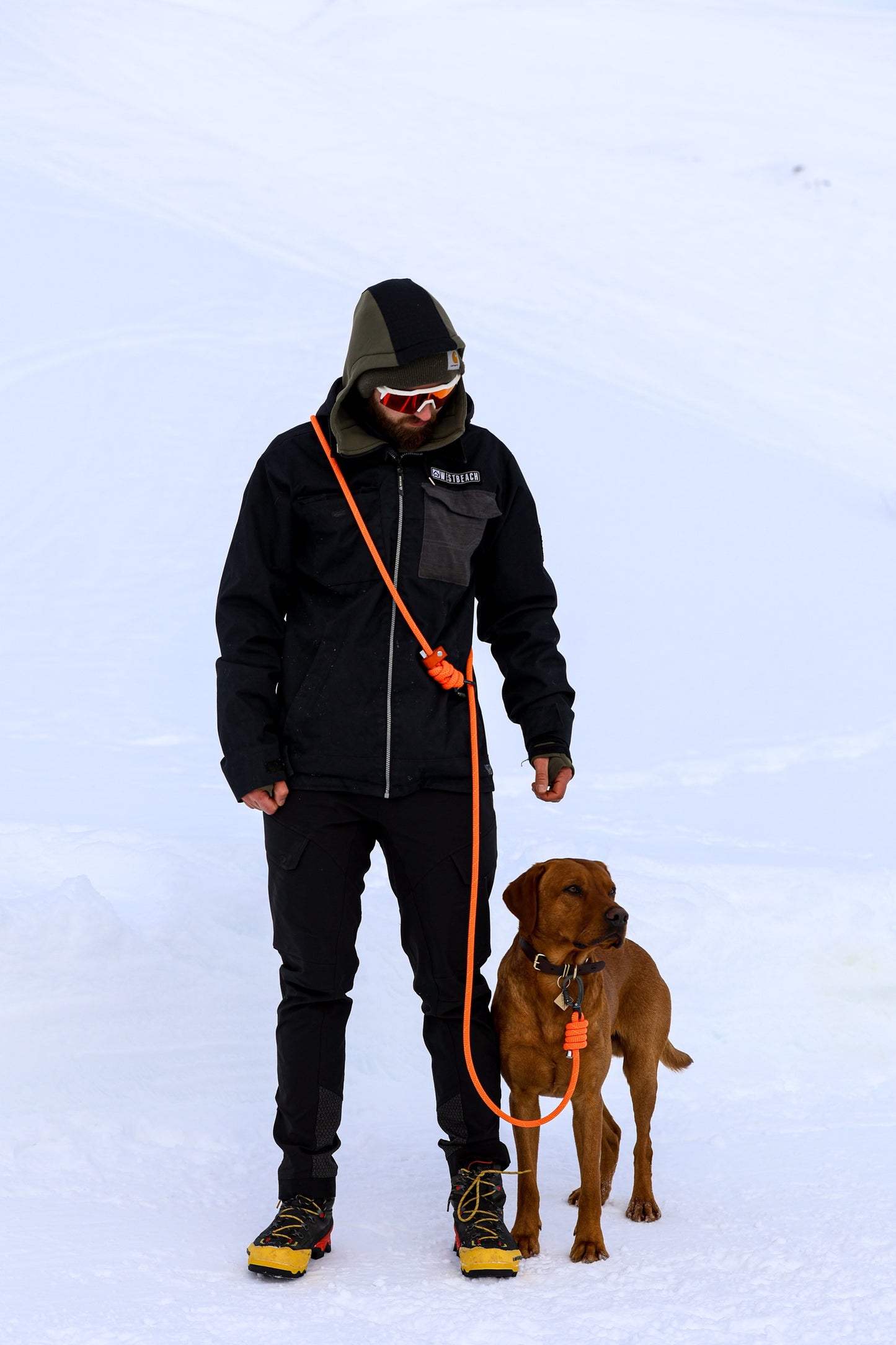 Borealis Purple, Beal® Handsfree Climbing Rope Dog Lead