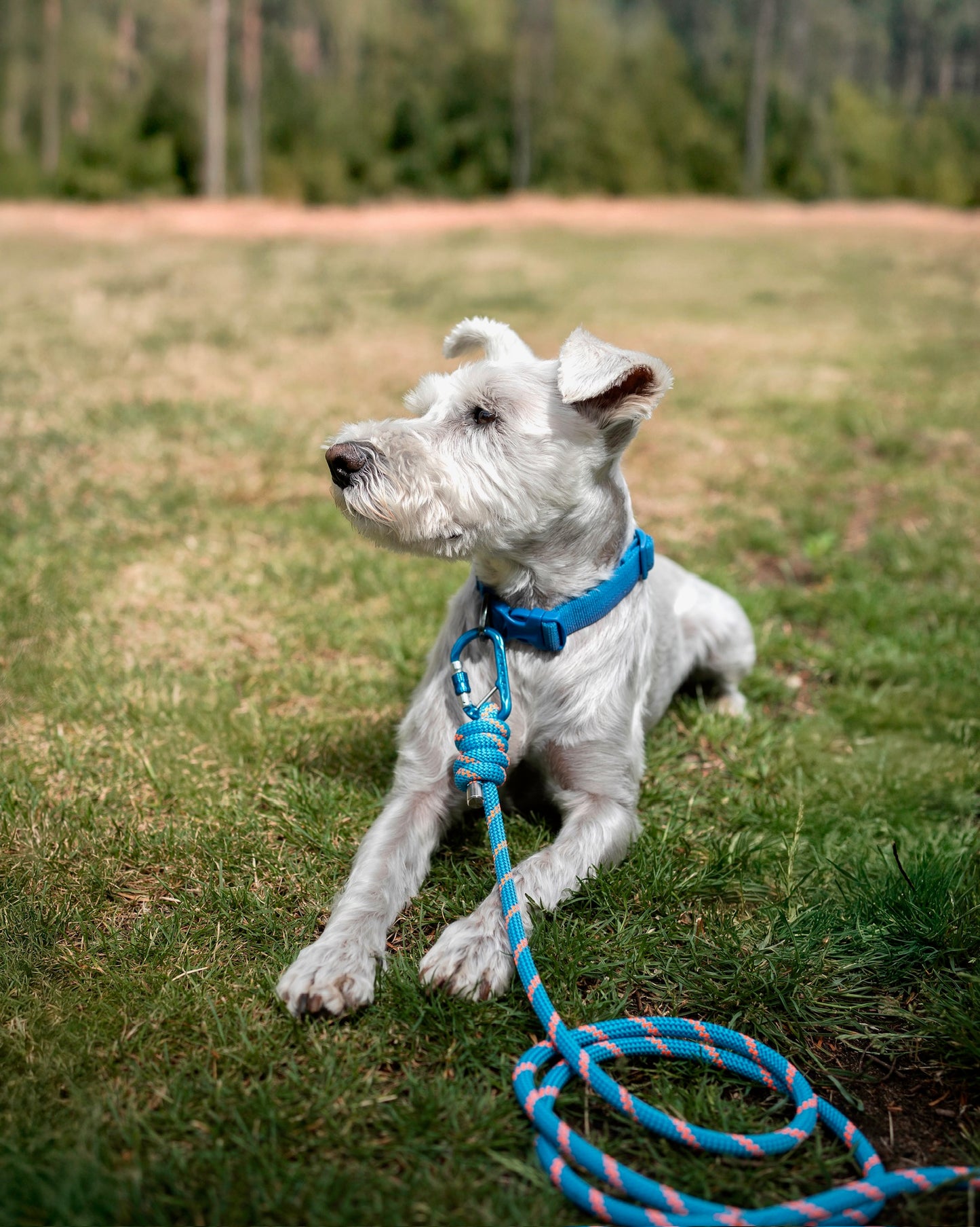Fjord Blue Slim, Mammut® Climbing Rope Dog Lead