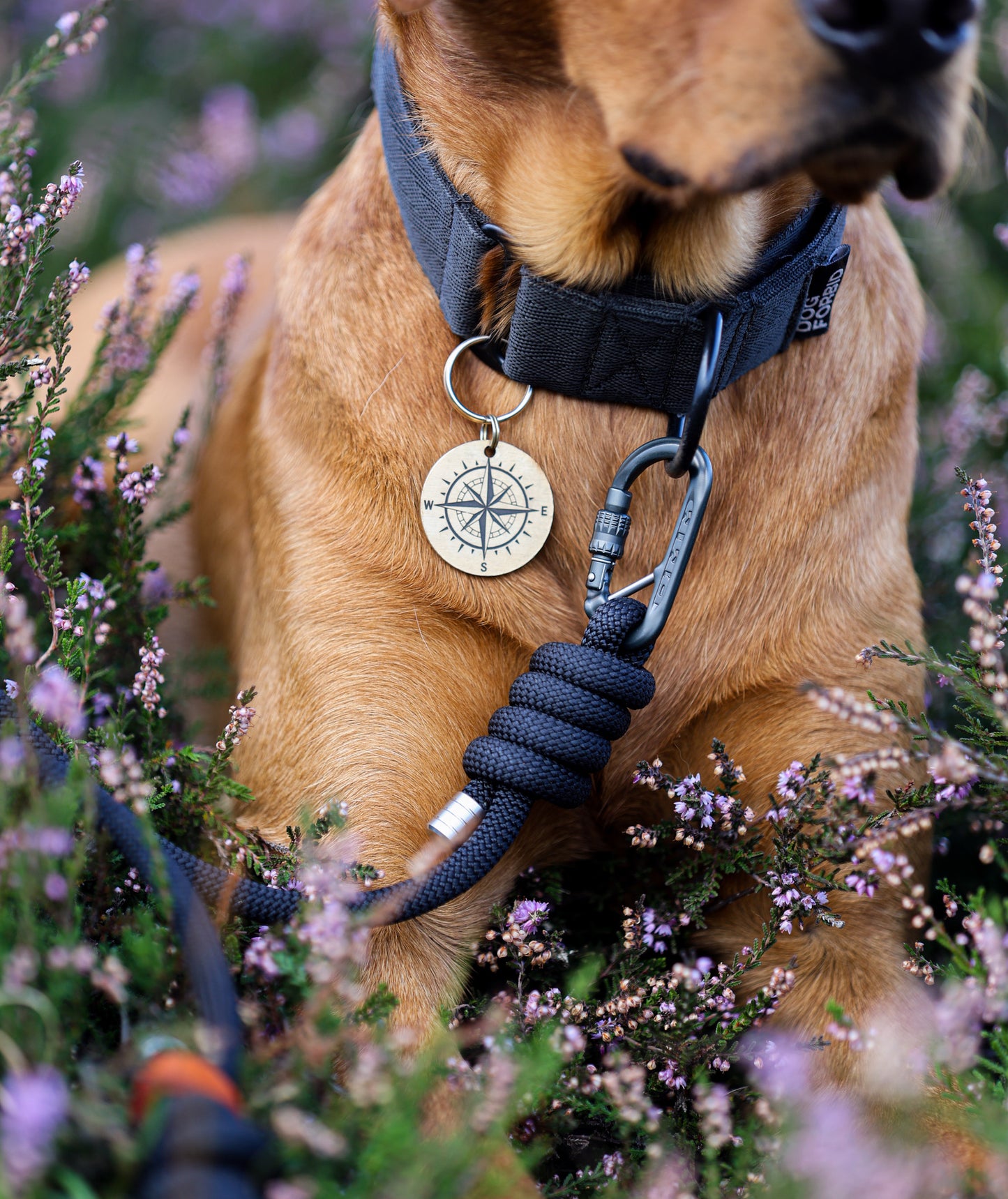 Midnight Black, Tendon® Climbing Rope Dog Lead