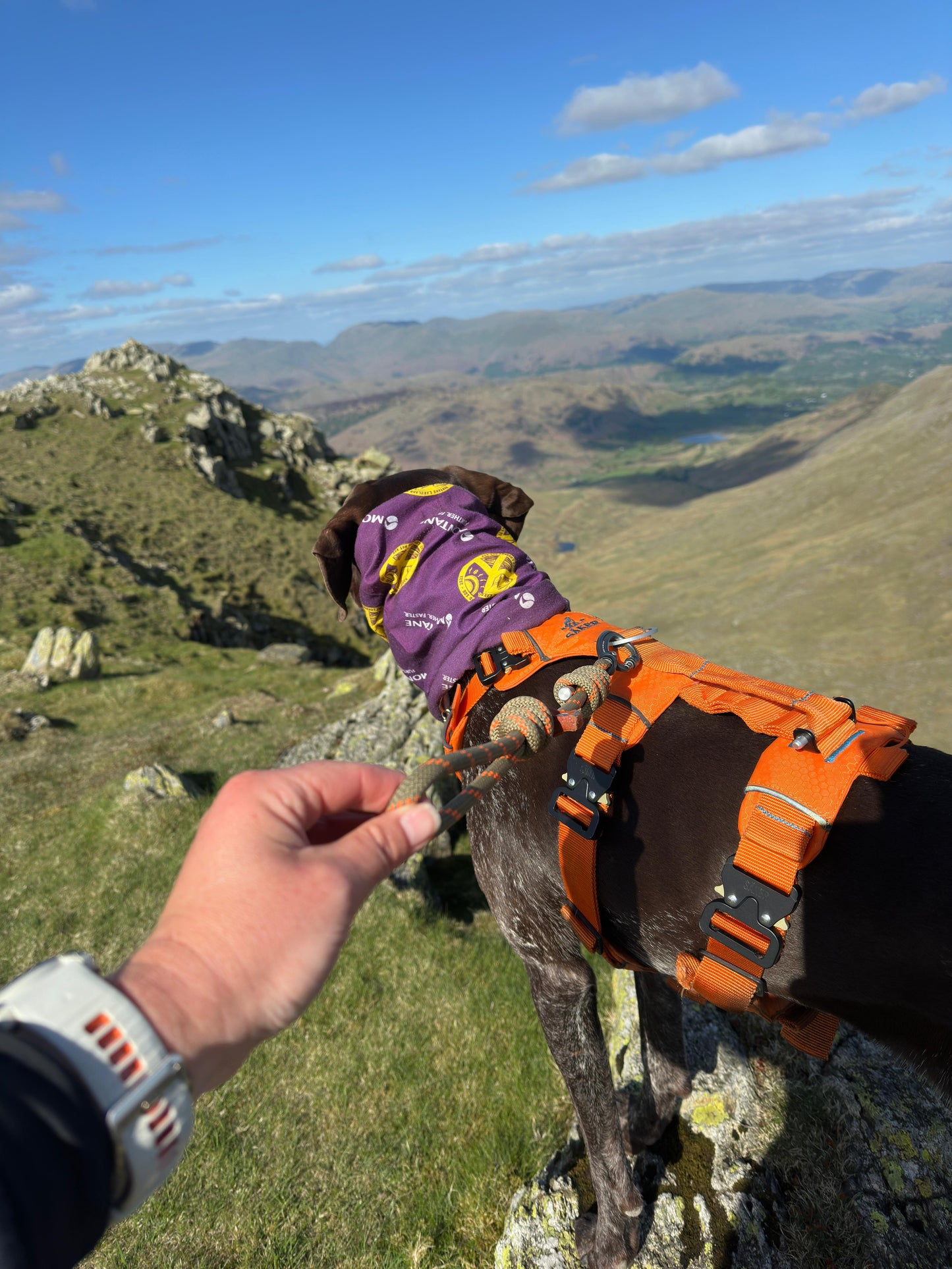 The Nelle Handle, Mammut® Climbing Rope Grab Handle