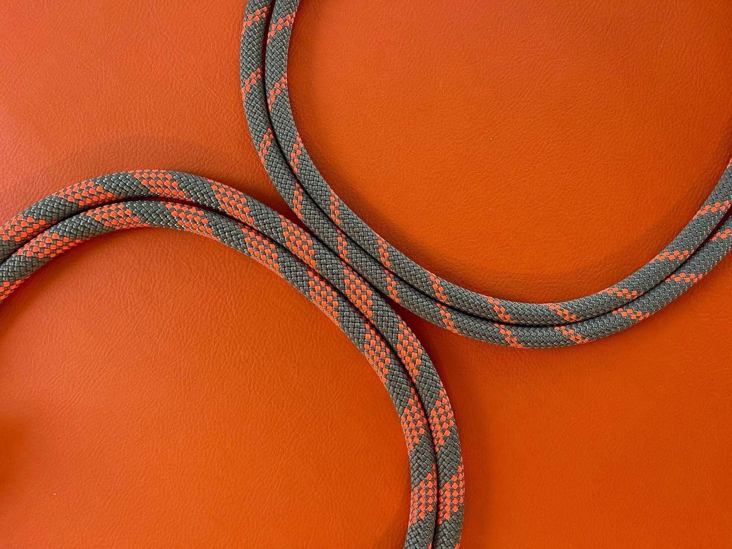 Ochre Slim, Mammut® Climbing Rope Dog Lead