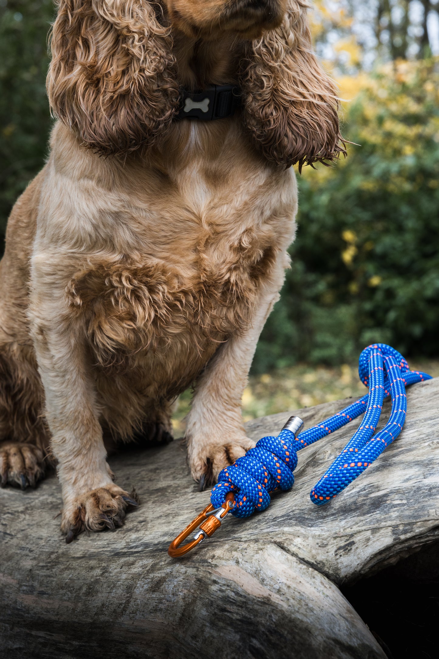Ocean Blue, Mammut® Climbing Rope Dog Lead