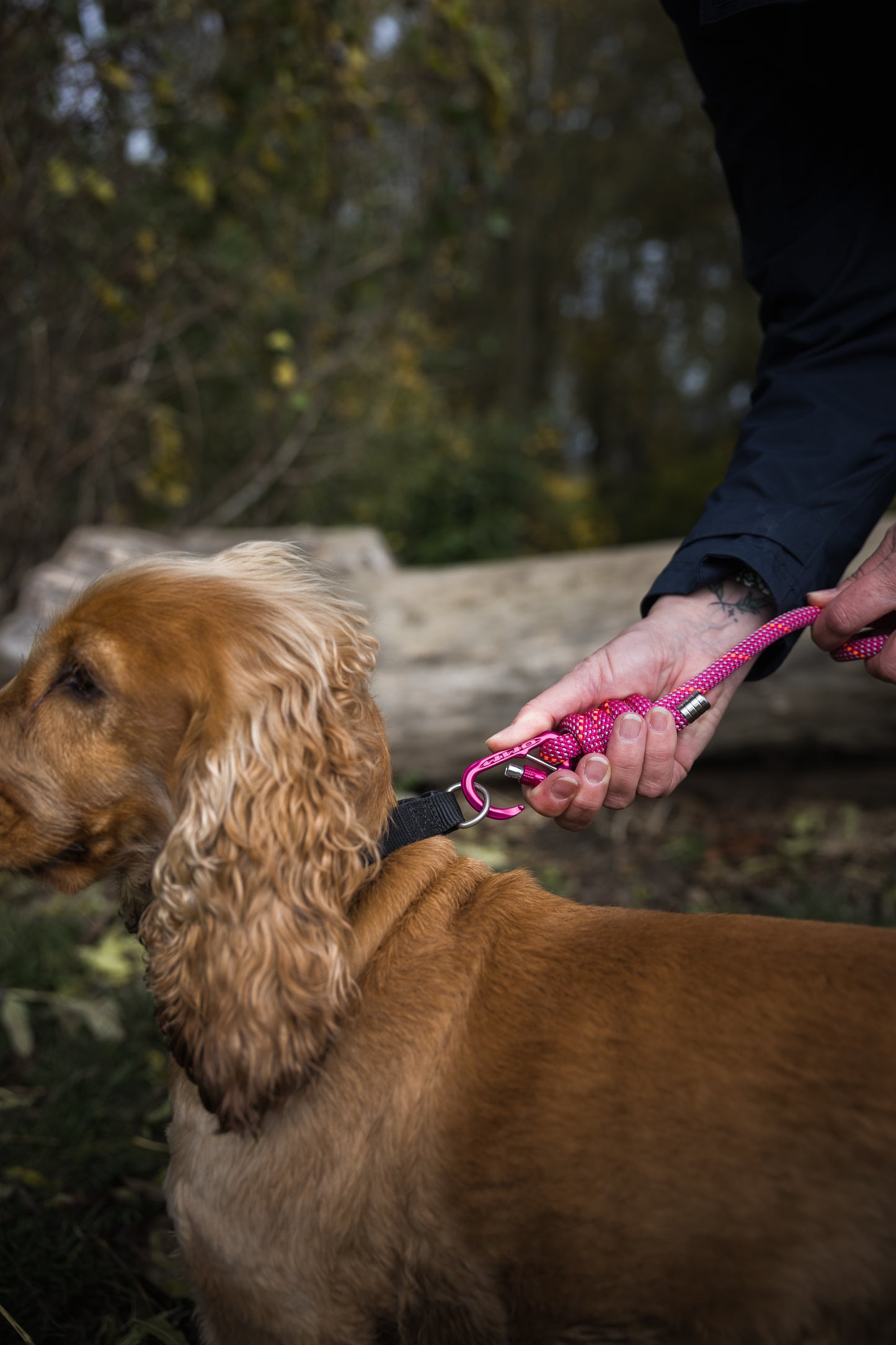 Himalayan Pink, Mammut® Climbing Rope Dog Lead