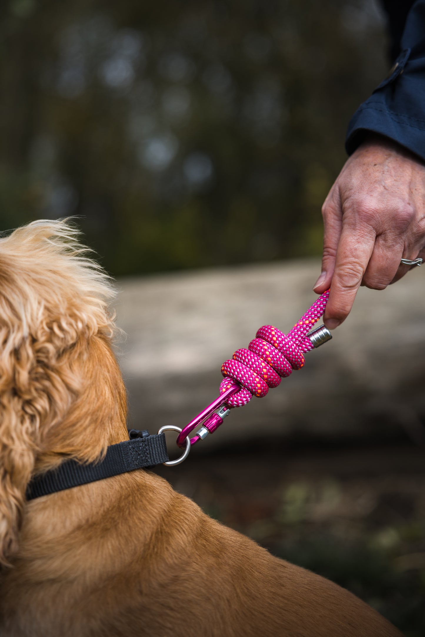 Himalayan Pink, Mammut® Climbing Rope Dog Lead
