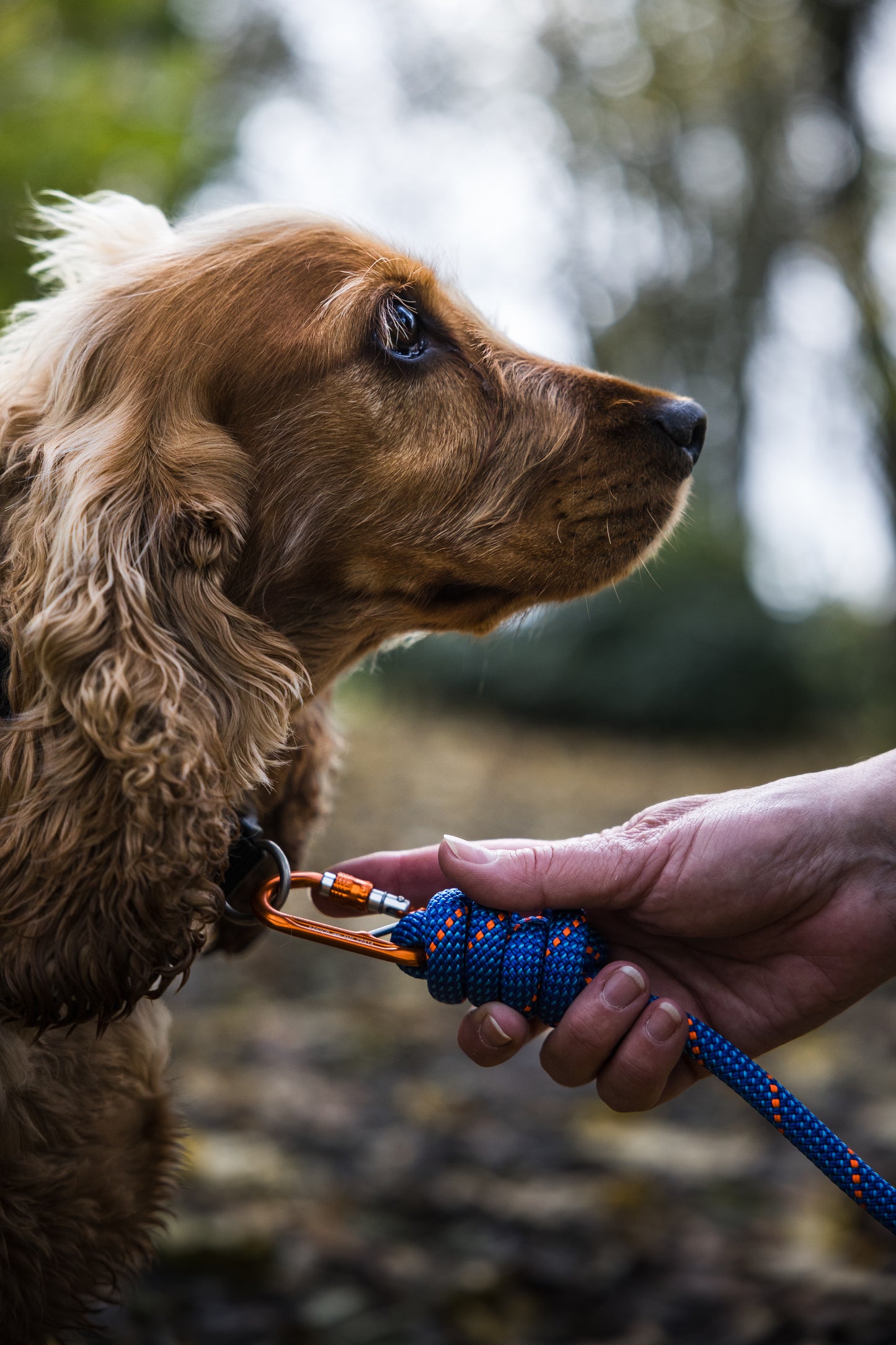 Ocean Blue, Mammut® Climbing Rope Dog Lead