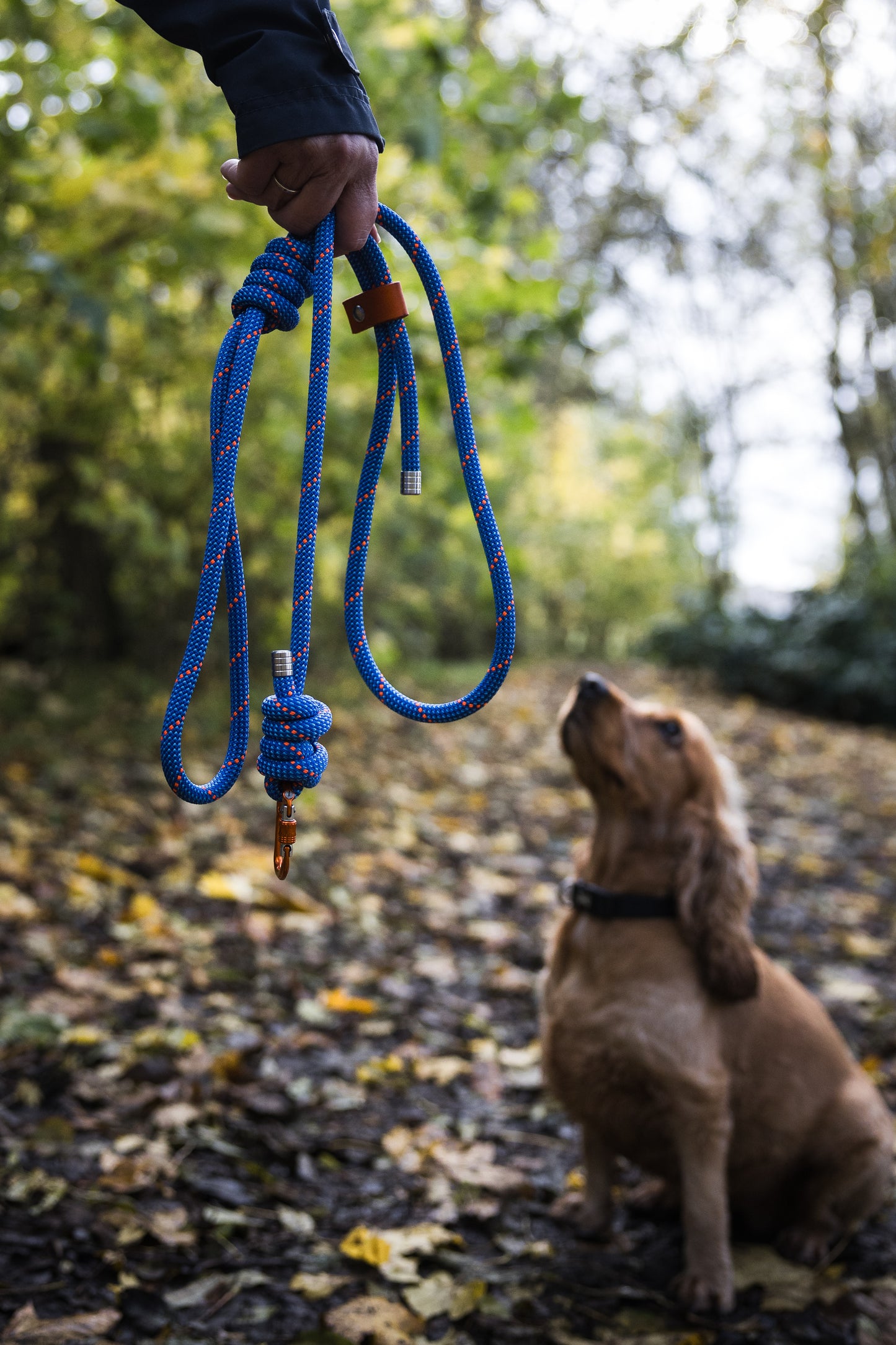 Ocean Blue, Mammut® Climbing Rope Dog Lead