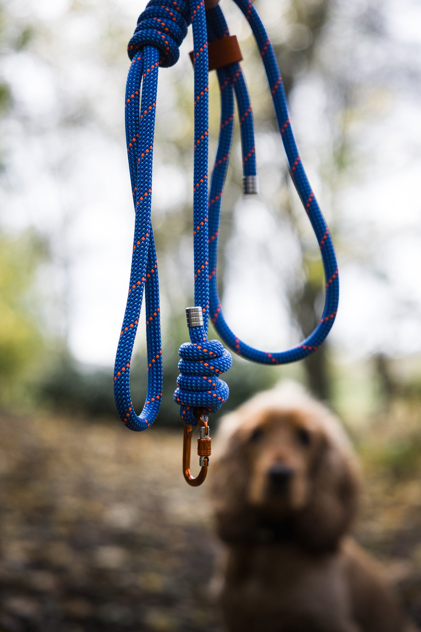 Ocean Blue, Mammut® Climbing Rope Dog Lead
