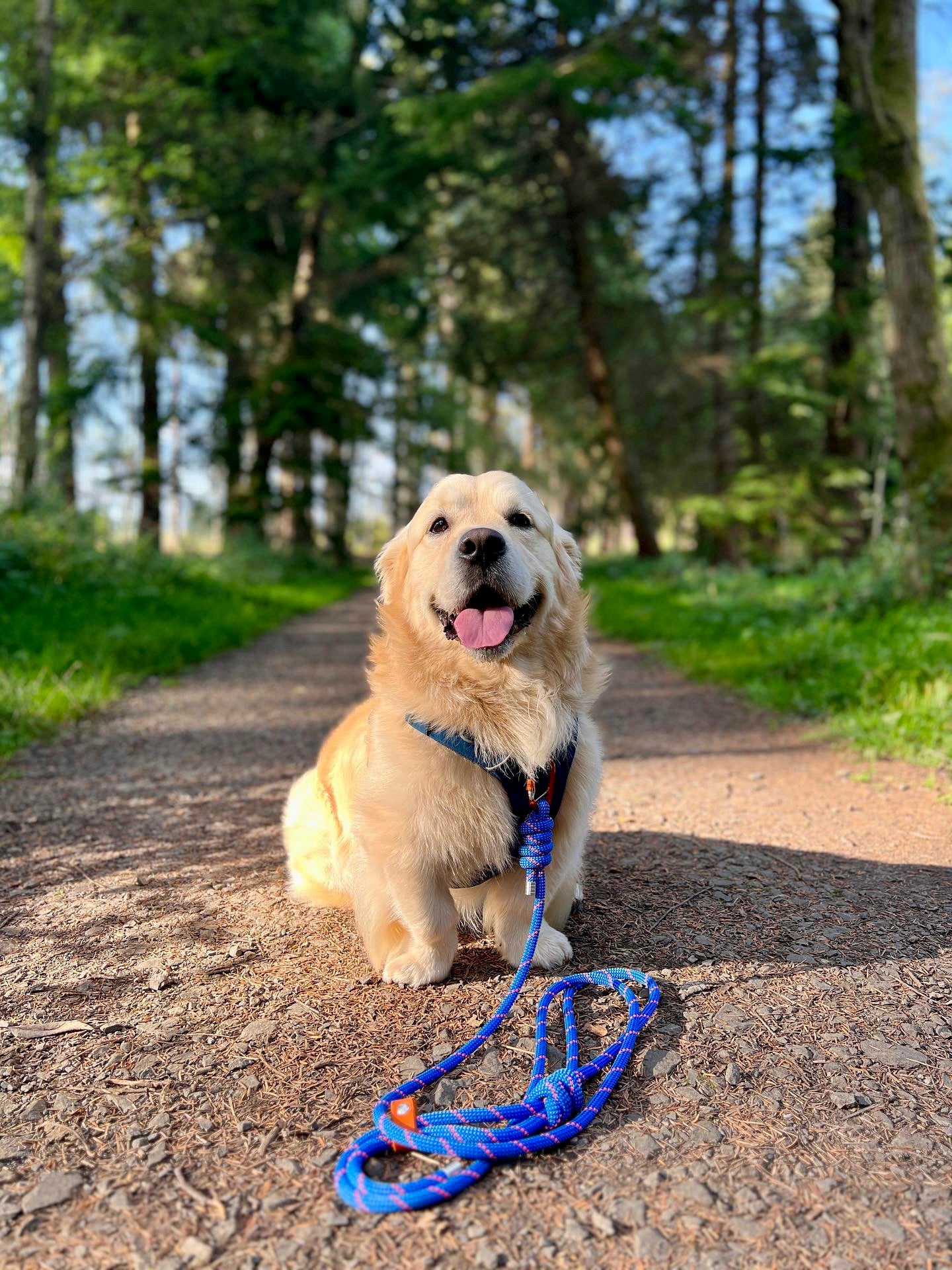 Ocean Blue, Mammut® Climbing Rope Dog Lead