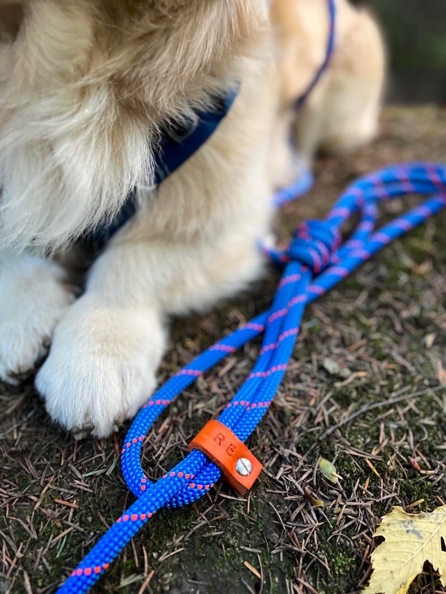 Ocean Blue, Mammut® Climbing Rope Dog Lead