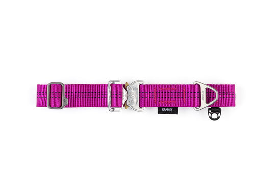 Summit V2 Dog Collar, Beal® Climbing Webbing | Pink