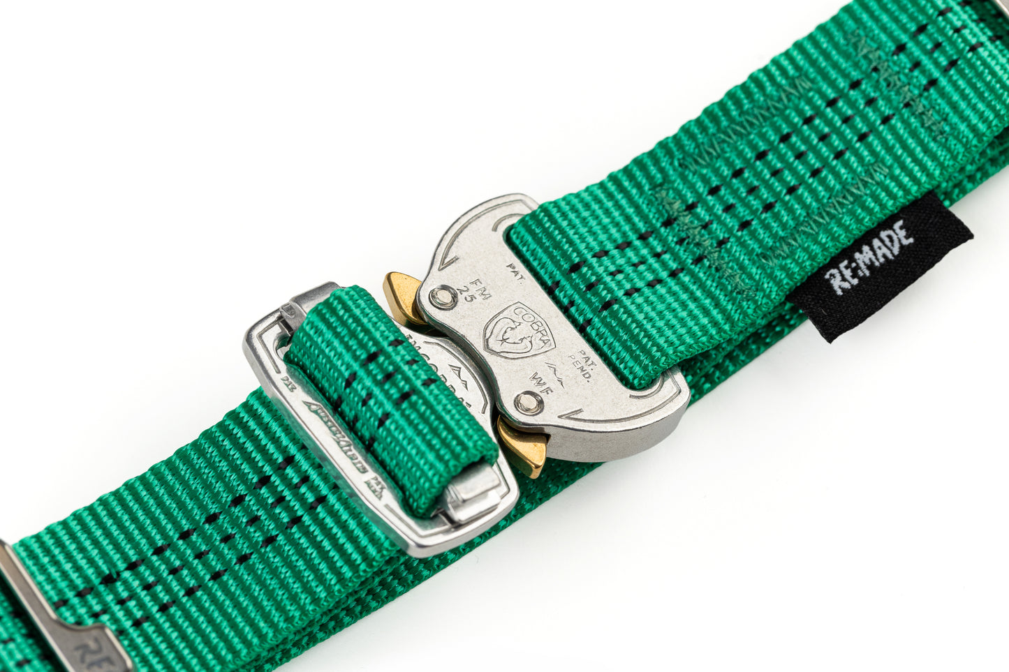Summit V2 Dog Collar, Beal® Climbing Webbing | Green