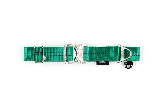 Summit V2 Dog Collar, Beal® Climbing Webbing | Green
