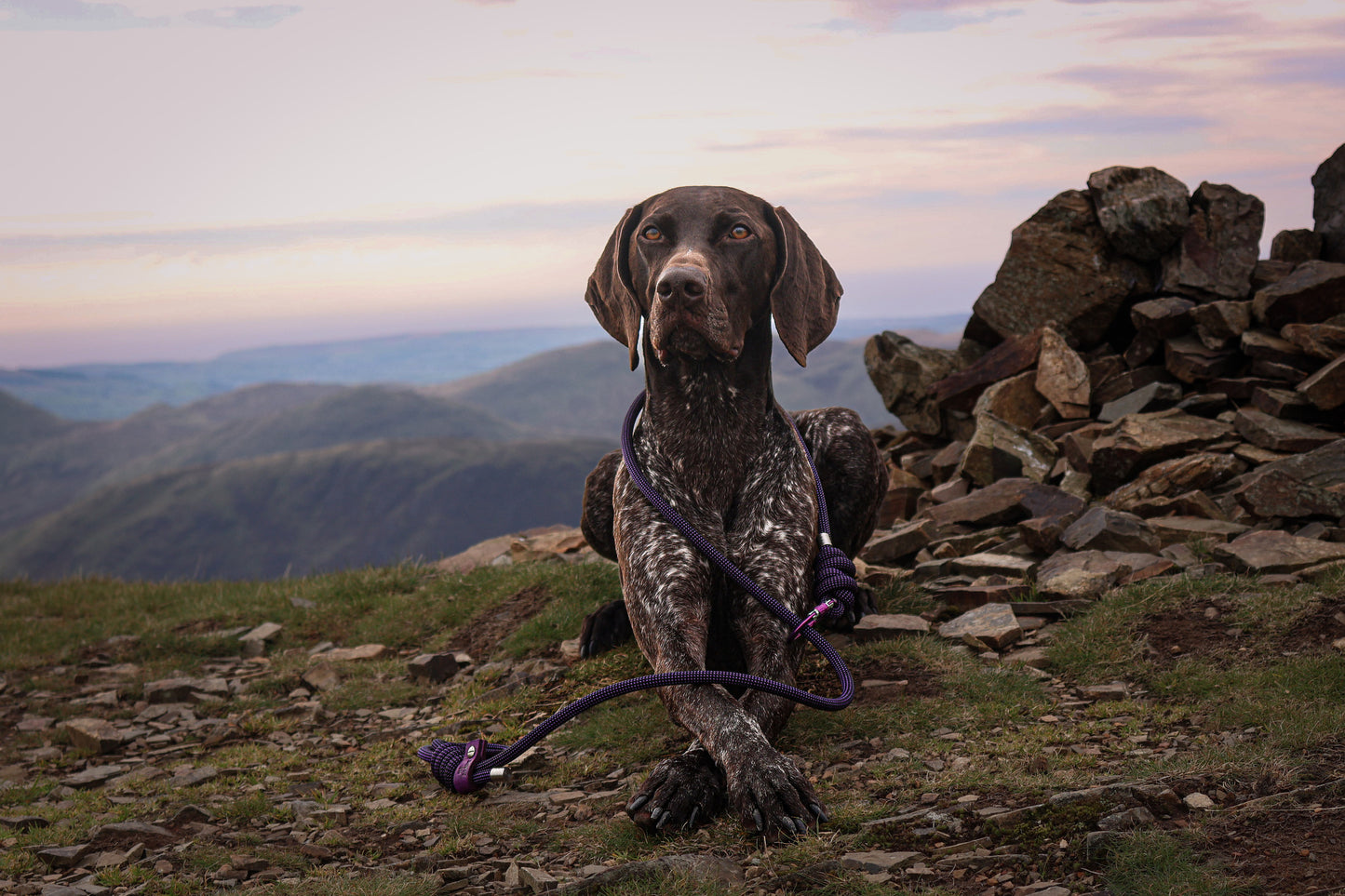 Borealis Purple, Beal® Climbing Rope Dog Lead