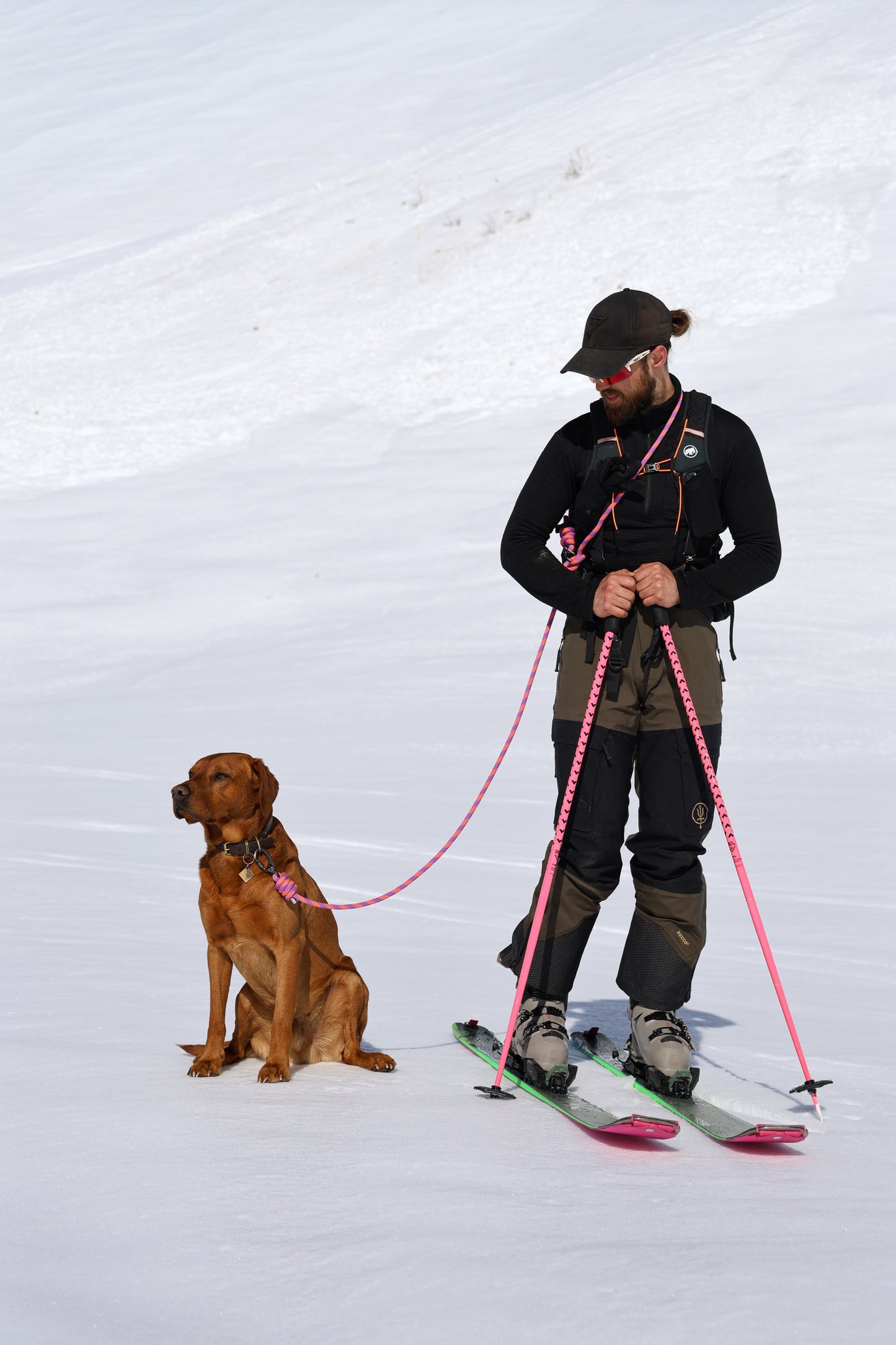 Zenith Purple, Mammut® Handsfree Climbing Rope Dog Lead