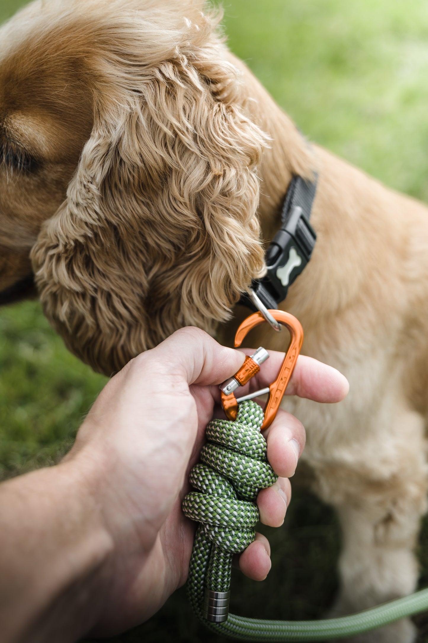 Forest Green, Petzl® Climbing Rope Dog Lead