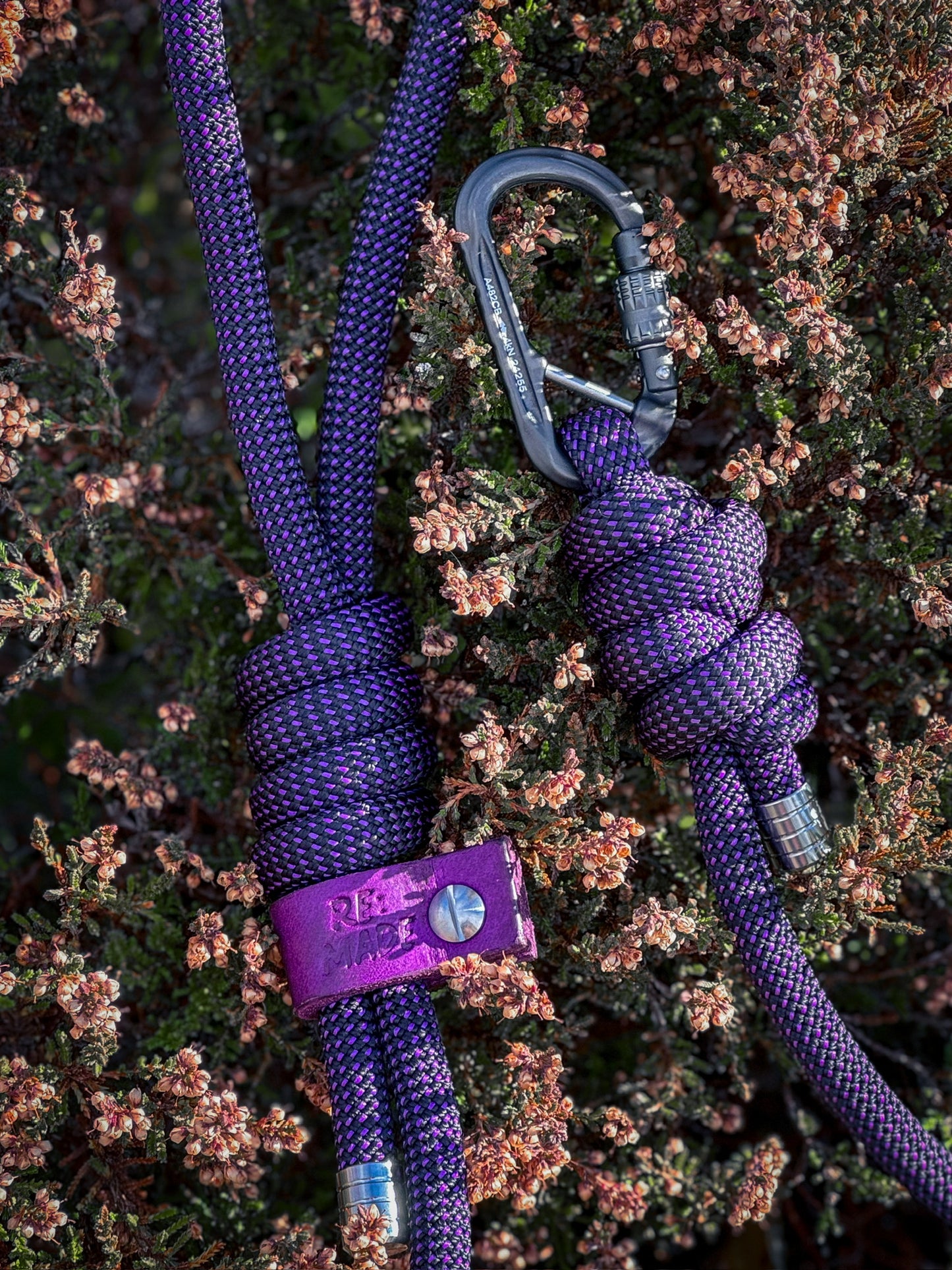 Borealis Purple, Beal® Climbing Rope Dog Lead