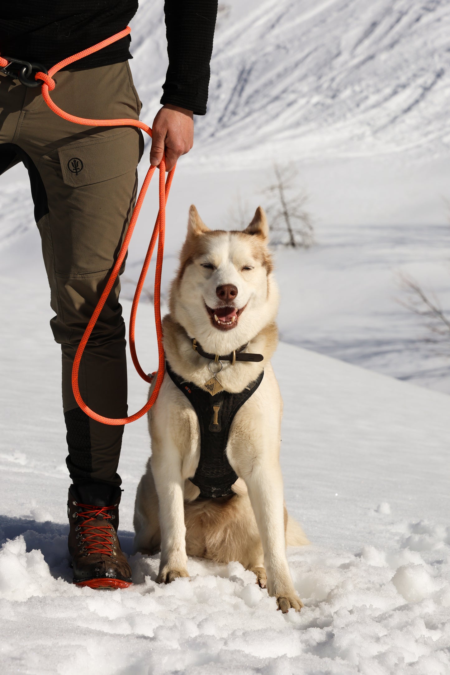 Alpenglow, Mammut® Handsfree Climbing Rope Dog Lead