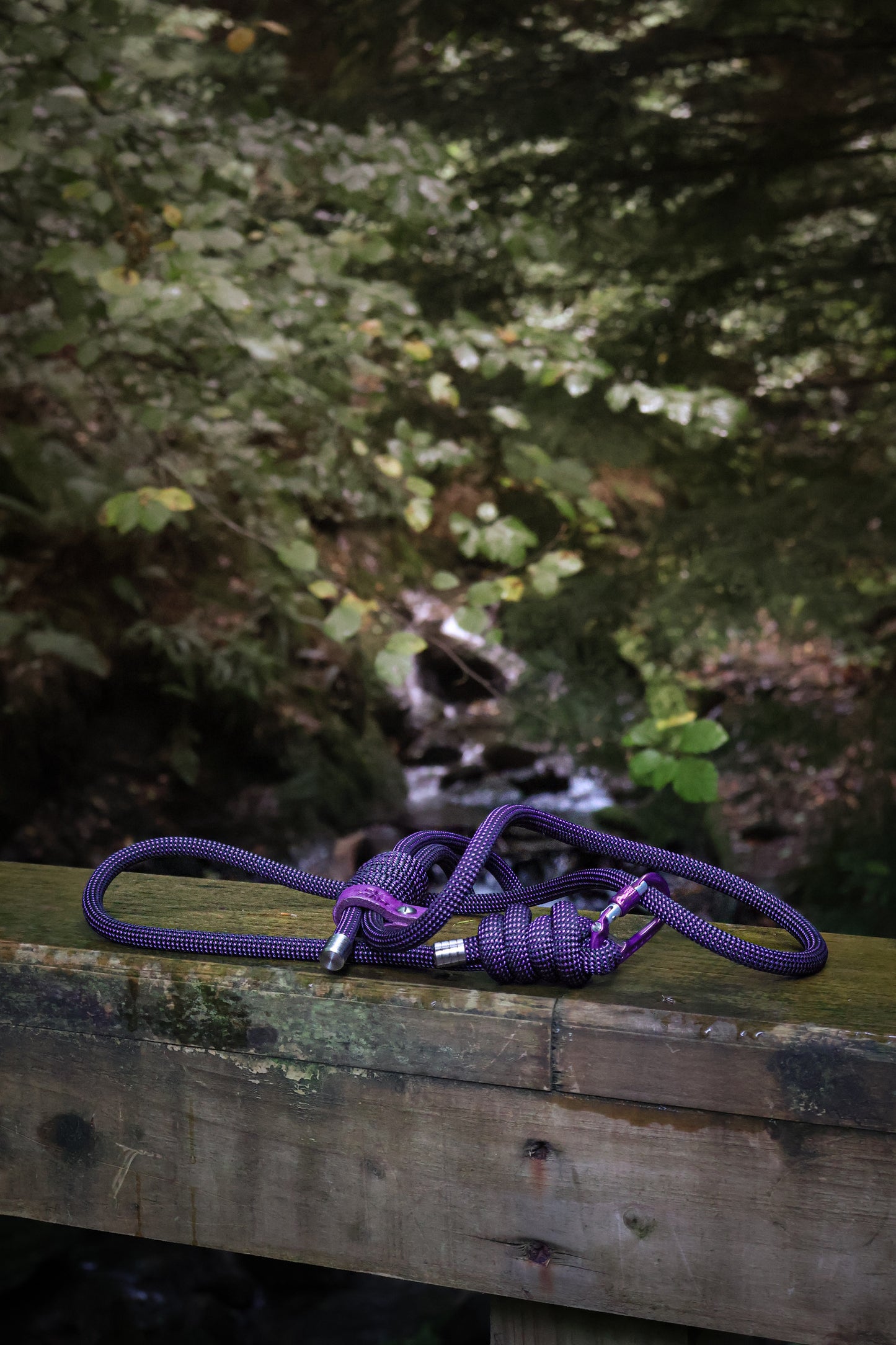 Borealis Purple, Beal® Climbing Rope Dog Lead