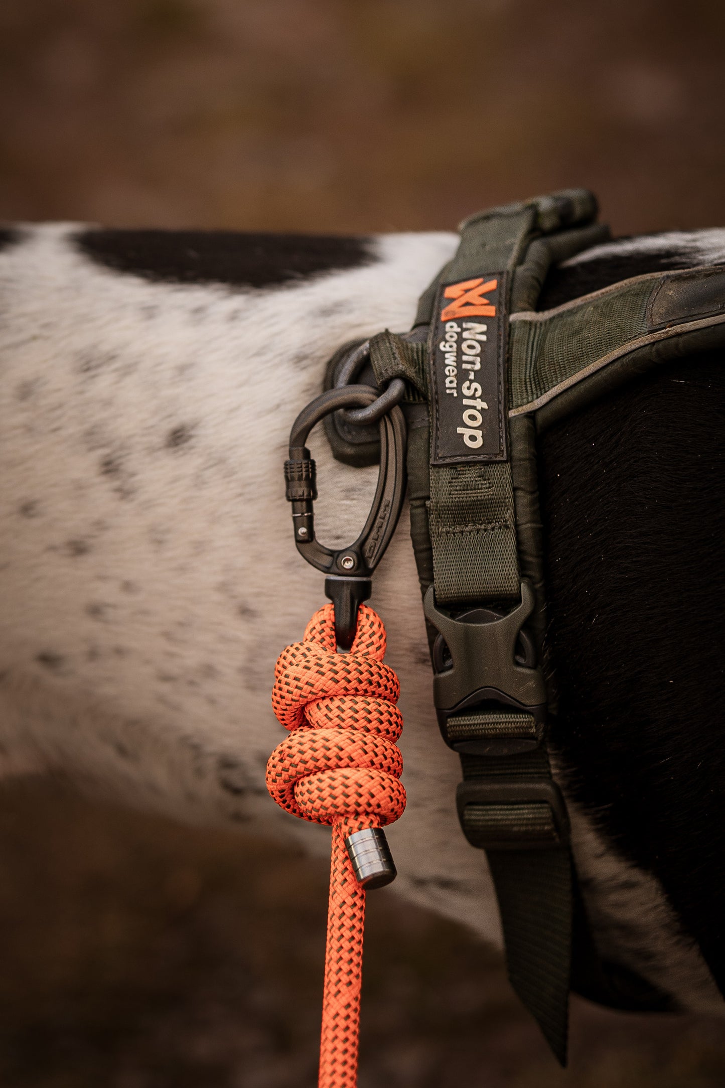 Arcturus Orange, Mammut® Climbing Rope Dog Lead