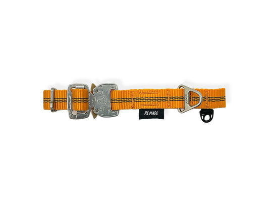 Summit Slim Dog Collar, Orange | Pre-Order, Delivered by 22nd December