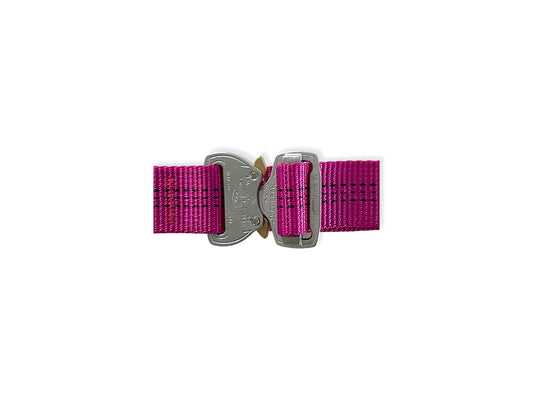 Summit V2 Dog Collar, Pink | Pre-Order, Delivered by 22nd December