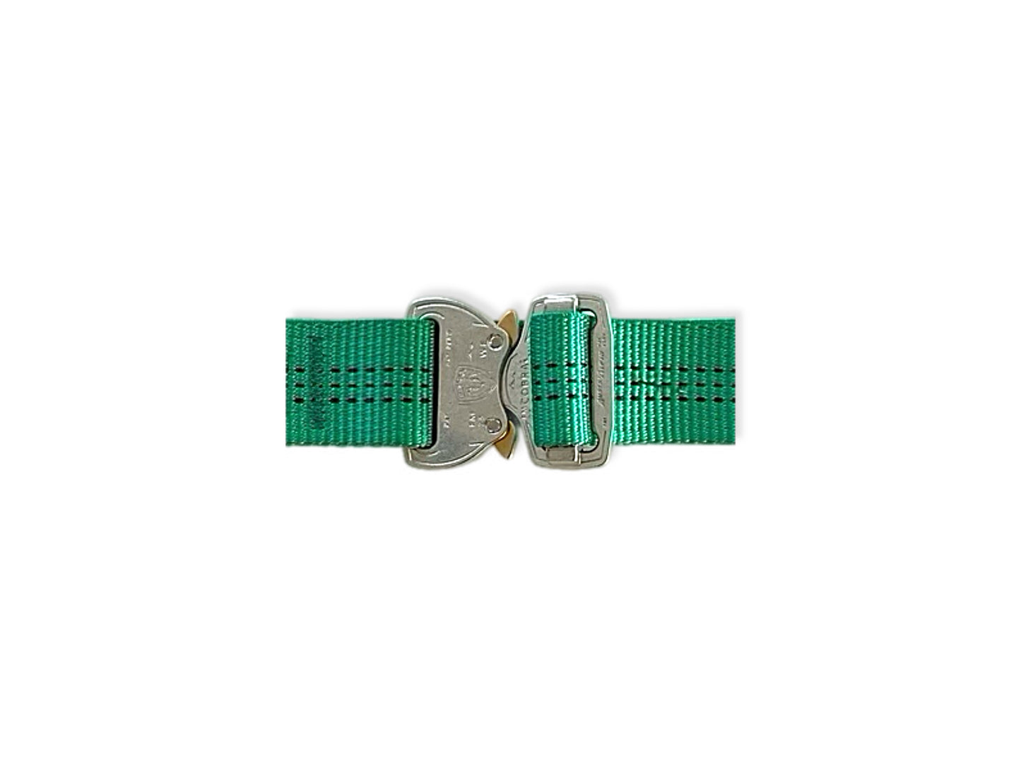 Summit V2 Dog Collar, Green | Pre-Order, Delivered by 22nd December