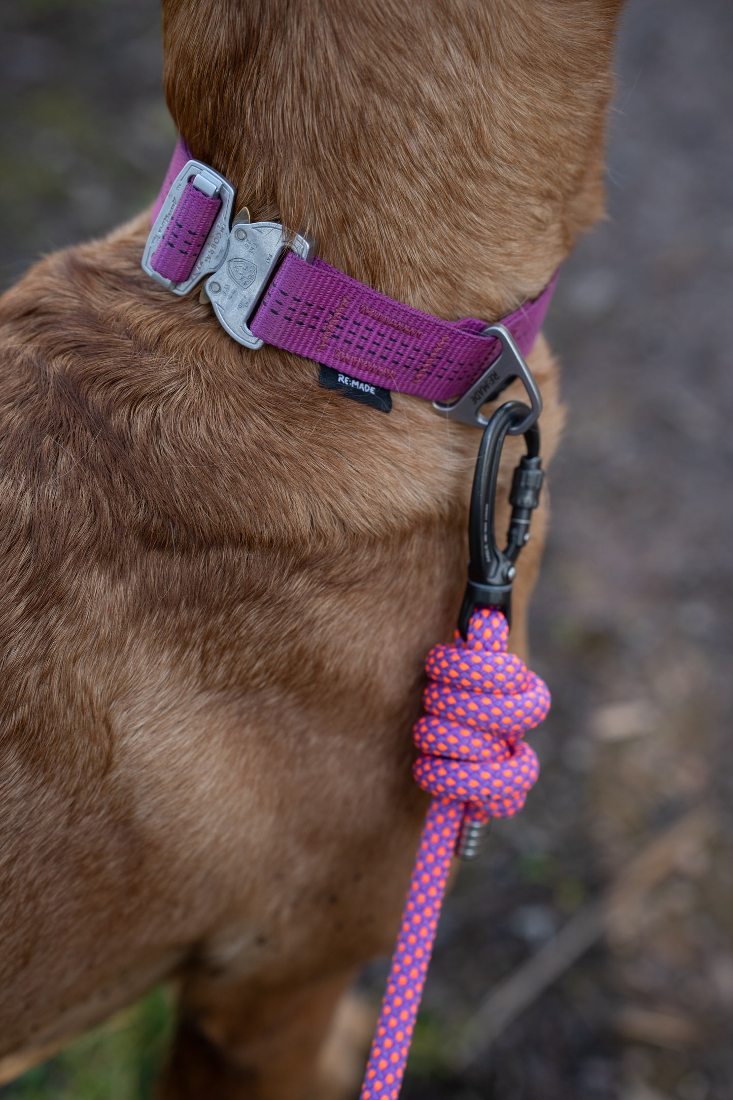 Vesper Pink, Mammut® Climbing Rope Dog Lead