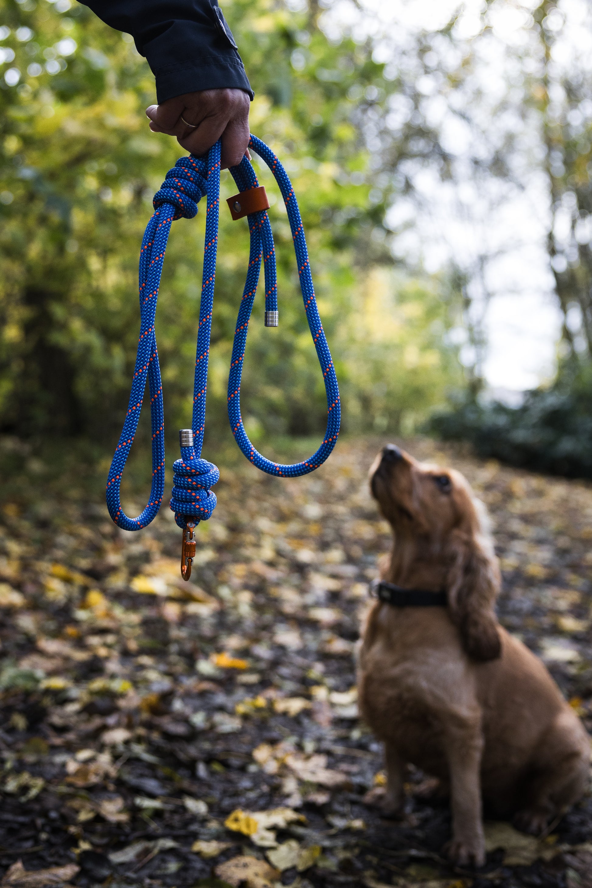 Climbing Rope Diy Dog Leash Paracord DIY Kit