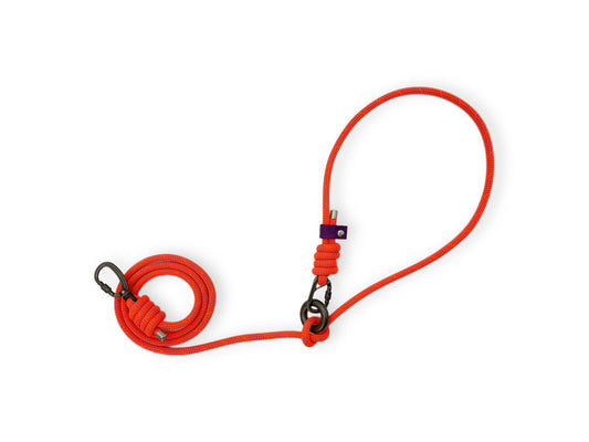 Alpenglow, Mammut® Handsfree Climbing Rope Dog Lead