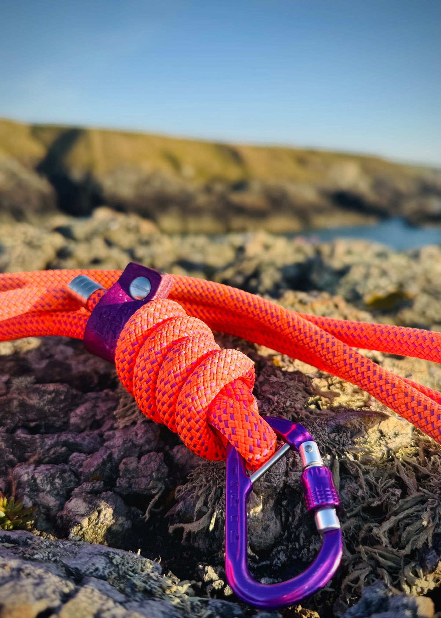 Alpenglow, Mammut® Handsfree Climbing Rope Dog Lead