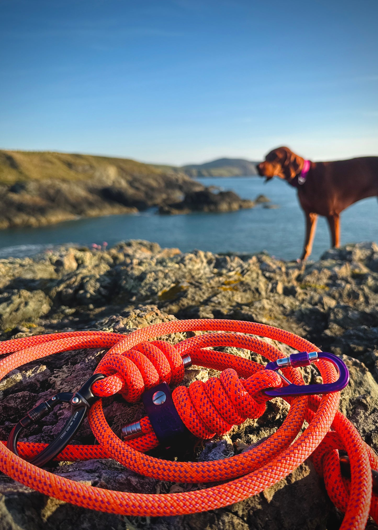Alpenglow, Mammut® Handsfree Climbing Rope Dog Lead