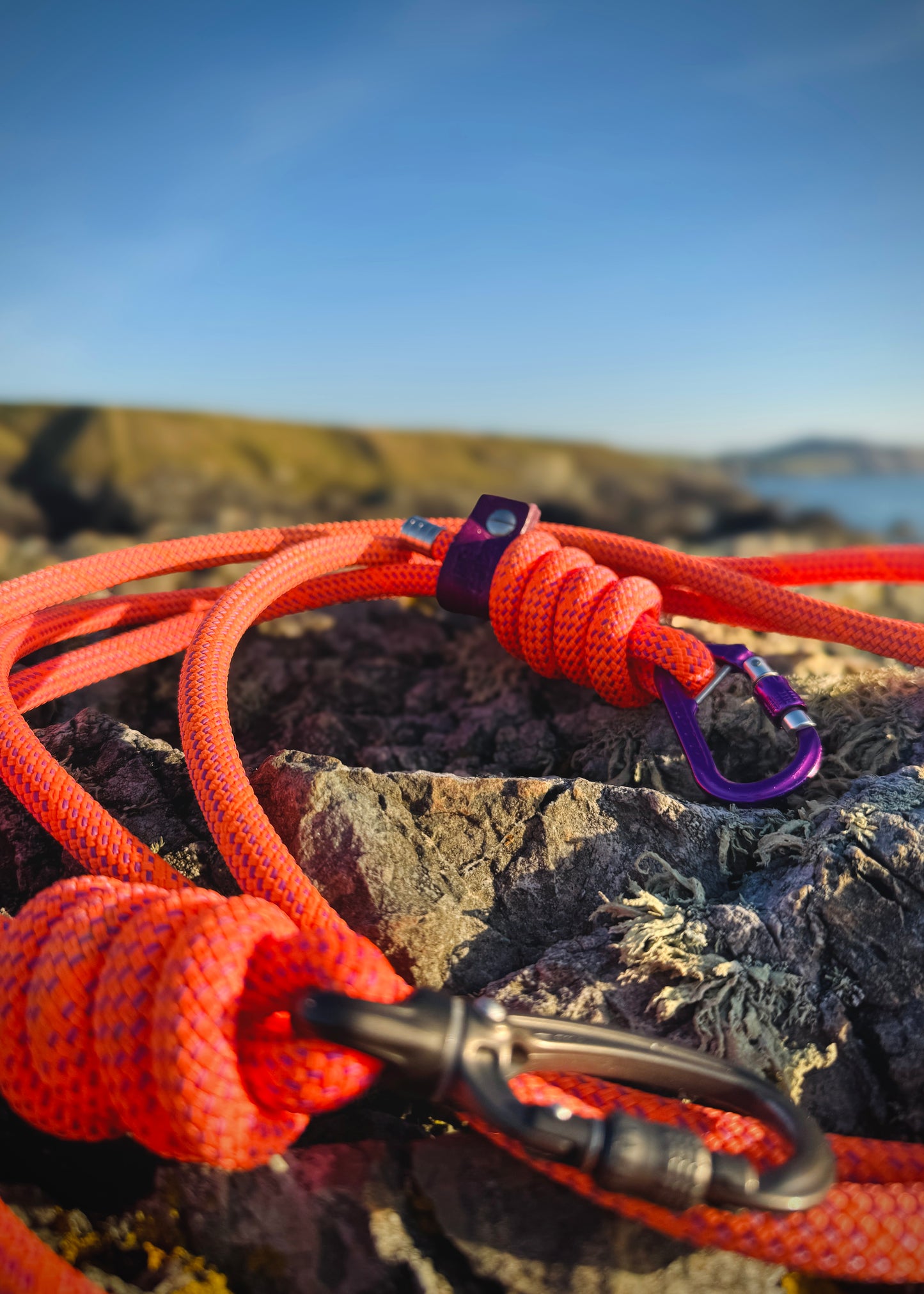 Alpenglow, Mammut® Handsfree Climbing Rope Dog Lead