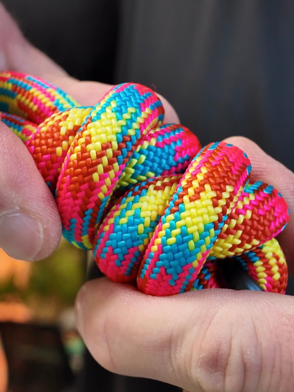 Rainbow, Tendon® Handsfree Climbing Rope Dog Lead