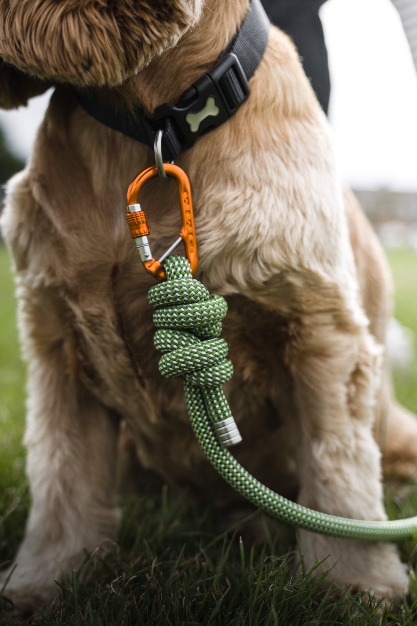 Forest Green, Petzl® Climbing Rope Dog Lead