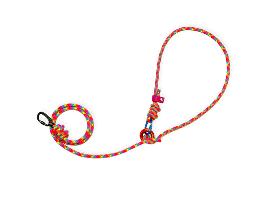 Rainbow Tendon® handsfree climbing rope dog lead with carabiner, handmade by Re:Made in the UK